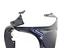 Immagine 5