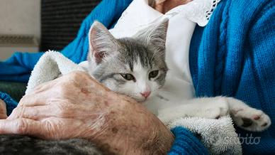 Badante Convivente H24 con Patente B