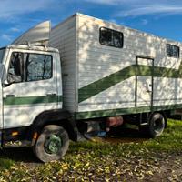Camion Mercedes Benz 814 trasporto cavalli