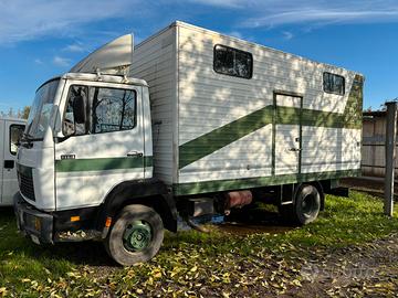 Camion Mercedes Benz 814 trasporto cavalli