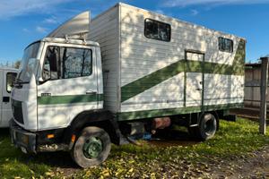 Camion Mercedes Benz 814 trasporto cavalli