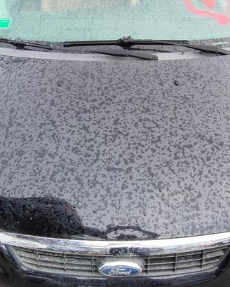 FORD FOCUS CABRIO 2008 COFANO ANTERIORE