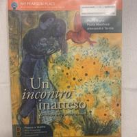 UN INCONTRO INATTESO - Pearson