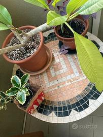 Tavolo Ferro battuto e Terracotta