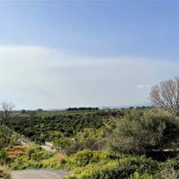 Rif.LA03| terreno agricolo mascali