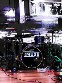 Dw Performance  22-12-14-16