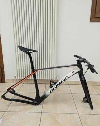 Olympia F1 forcella rigida Niner