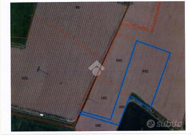 TER. AGRICOLO A CAPRIOLO