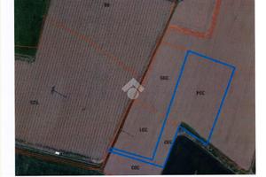 TER. AGRICOLO A CAPRIOLO