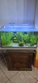 acquario zolux 60 litri