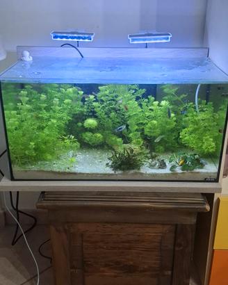 acquario zolux 60 litri