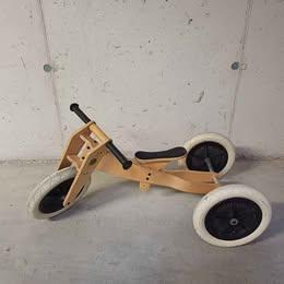 Bici evolutiva per bambini Wishbone 3 in 1