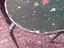 Immagine 3