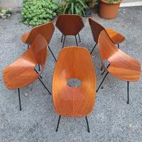 sei sedie design anni 50 medea Vittorio Nobili 