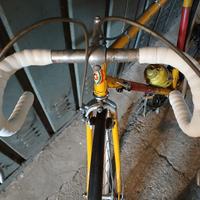 Bici Grandis Vintage