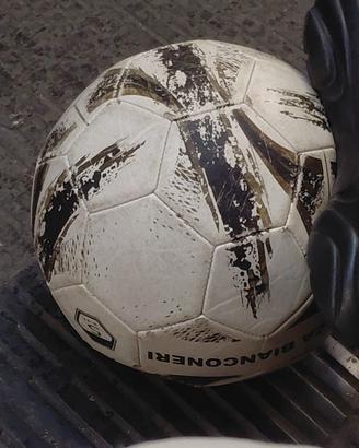 pallone da calcio