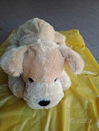 cane peluche 