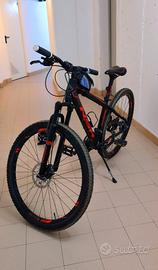  Mountain-bike con accessori 