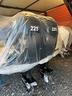coppia-mercury-225-l6