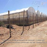 Terreno Agricolo Vittoria [A4316845]