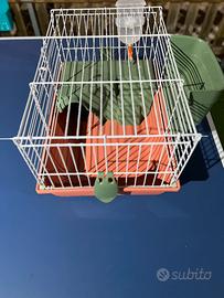 Gabbia per coniglio