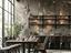 Immagine 26