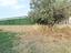 Immagine 11