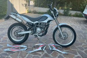 Beta Alp 4.0