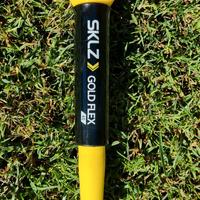 Bastone golf allenamento - Gold Flex 40