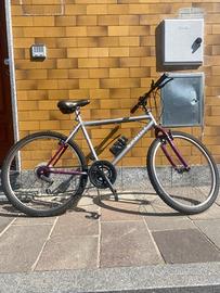Bicicletta