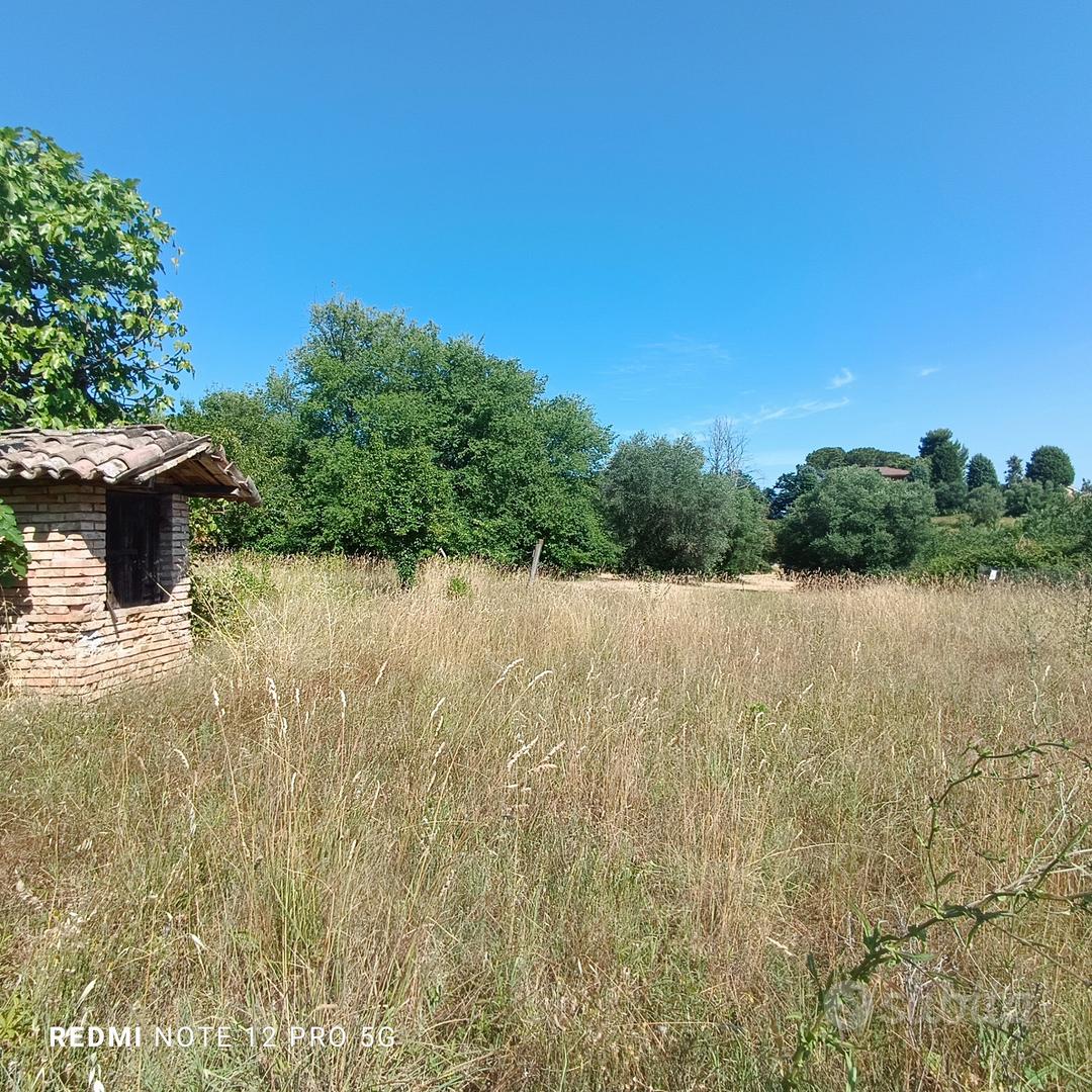 TERRENO EDIFICABILE PER SINGOLA VILLETTA - Vista 2