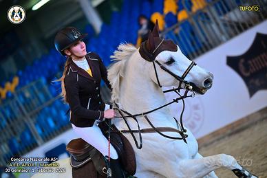 Vendita castrone del 2011