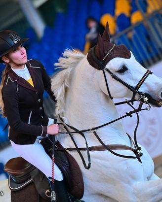 Vendita castrone del 2011