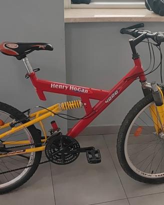 bici con ammortizzatorei