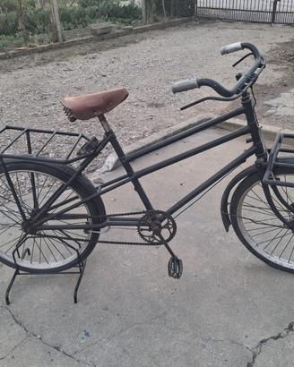 Bici da carico