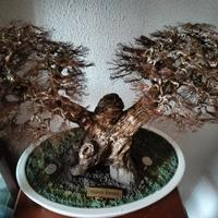 Bonsai in rame di Franco Romani