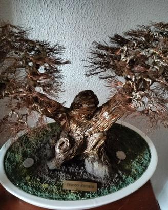 Bonsai in rame di Franco Romani