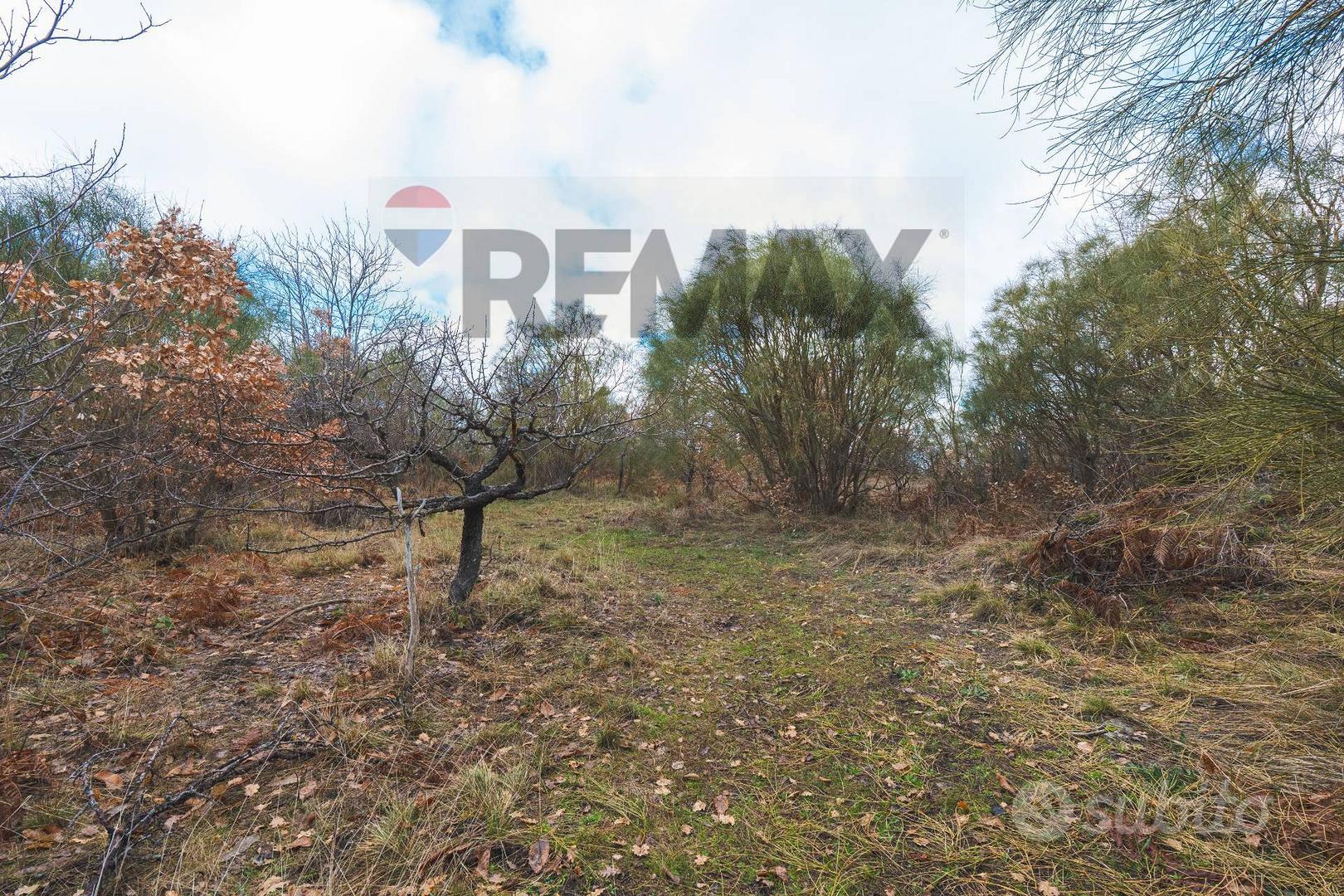 Terreno - Biancavilla - Vista 3