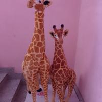 giraffe di peluche 