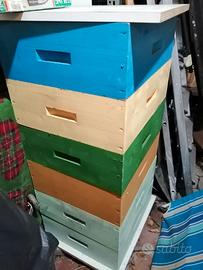 Api Materiale apistico