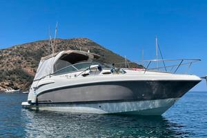 Barca natante chaparral 280