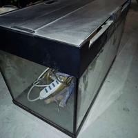 Acquario e chiusino carrabile