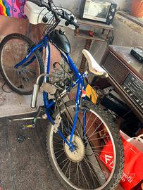 Bicicletta a motore