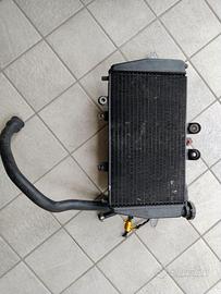 Radiatore Triumph 955i 2002