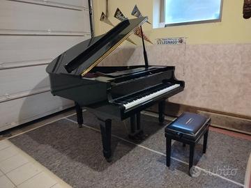 Pianoforte a coda