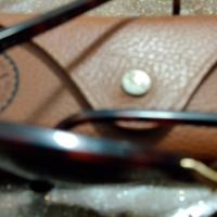 occhiali rayban clubmaster