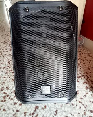 Cassa amplificata Zipp Ziggy