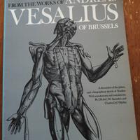 libro illustrato tavole di A Vesalius