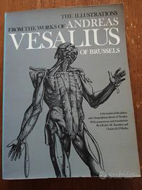 libro illustrato tavole di A Vesalius