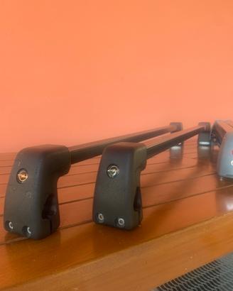 Barre porta tutto e portasci